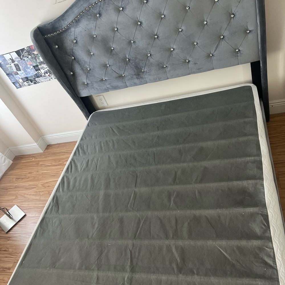 Bed and box springs